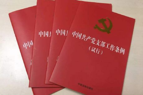 中国共产党支部工作条例_by-dtyhyxh